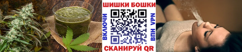 kraken онион Новошахтинск Cannafood конопля