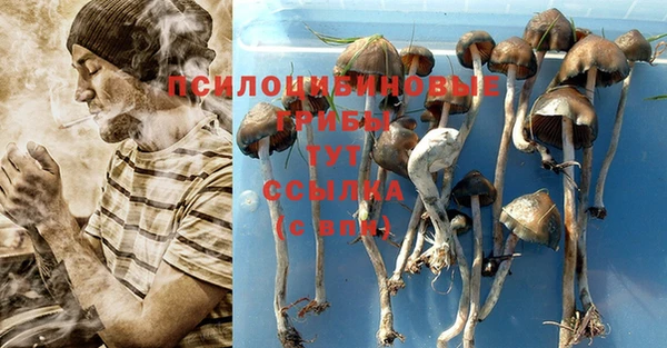 гашишное масло Лихославль