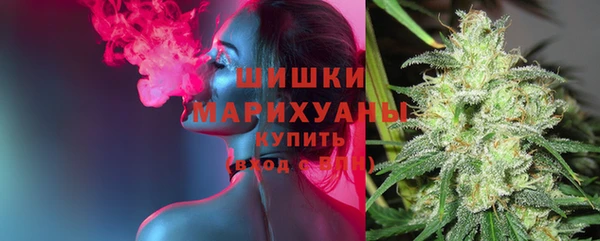 apvp Киров