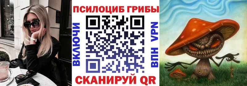 купить  сайты  мориарти телеграм  OMG ONION  Галлюциногенные грибы Magic Shrooms  Новошахтинск 