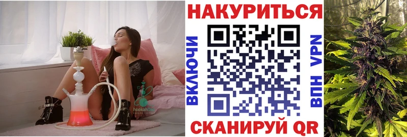 Шишки марихуана план  Новошахтинск 